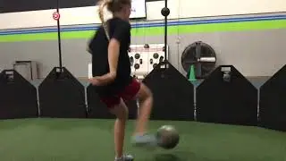 Gracie Micro-Fusion