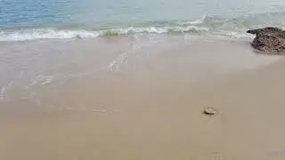 Mahaboula beach 4K#Kuwait #Seaside #Mahaboula #KuwaitTourism #Winter #4kvideo