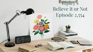 Ripley's Believe it or Not! - Episode 2,554 - Tuskless Elephants