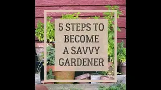 🤩 Wanna get Savvy in the Garden?