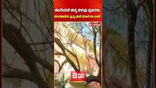 Sabarimala Gold Theft Case: Sabarimala Gold Theft Case, ED raid on trustee's house in Bengaluru | ED Raid