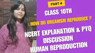 How do organisms reproduce? human Reproduction 