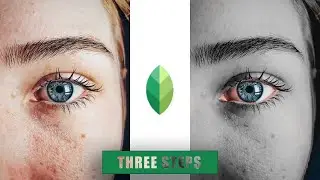 Snapseed mobile 3 step editing best colour changing