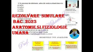REZOLVARE SIMULRE BACALAUREAT BIOLOGIE 2023 ANATOMIE SI FIZIOLOGIE UMANA