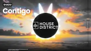 SHADU - Contigo ( HouseDistrict Visualizer )