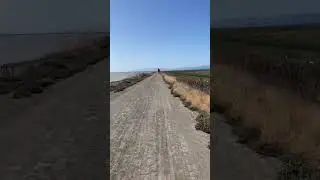Alameda Creek Trail Levies 6/21/2025