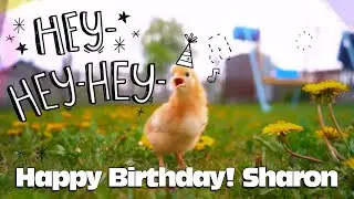 Happy Birthday! Sharon