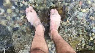 Master Liam King - Nature Feet Worship (Outdoors)
