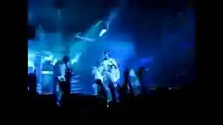 Amatory - Семь шагов (Live 22.11.08)