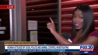 Action News Jax Investigates: Woman attacked by dogs, police and animal control investigating
