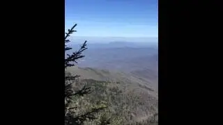Mount LeConte Summit