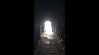 T&uacute;neis de Gibraltar