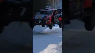 The Mayor of Brattby Craig Breen #RallySweden #Rally1 #WRC #Hyundai #HyundaiMotorsport #Rally #Breen