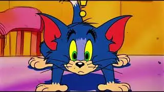 Tom&rsquo;s Biggest Mistake! 😹 Jerry & Spike Revenge