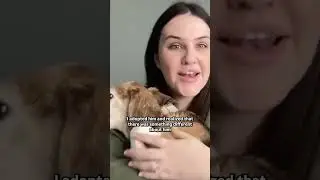 Эта собака борется с тестами на животных