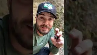 DUAS VERSÕES de CHORIPANS que fiz no MEIO DO MATO. RÁPIDO, BARATO e GOSTOSO 🔥 