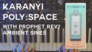 First look : Karanyi Poly Space FX on Prophet Rev2 ambient sines [no talking]