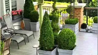 Nomawood.WMV