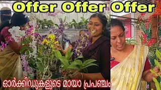 ഫ്രീയായി ഓർക്കിഡുകൾ വേണോ....നല്ല ഓർക്കിഡുകൾ വേണോ? വാ ഇങ്ങോട്ട്....