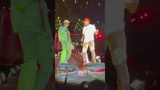 Rema & Chris Brown made magic on love affection #rema #chrisbrown
