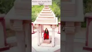 Amrita Devi Bishnoi #363 #bishnoi