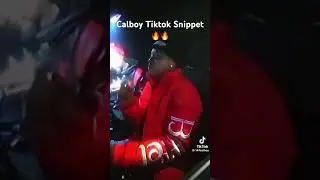 Calboy Snippet #calboyunreleased #rap #music #hiphop #calboy #chicago #unreleased