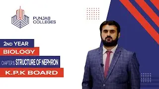 PGC Lectures-Inter Part 2-KPK Board-Biology-Chapter 15 - Structure of Nephron