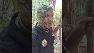 DENTRO DA MATA FECHADA A PROCURA DAS CRIAN&Ccedil;AS.