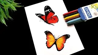 Butterfly Drawing Easy/ Butterfly Drawing Colour @gitanjalicreativeaura