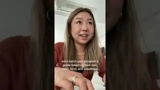 Why Fruits Are Expensive In Japan.