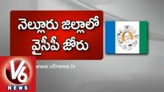 YSRCP win in Nellore 2nd Phase Panchayath Elections