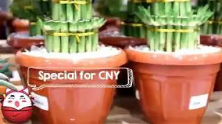 Product CNY Special Price only at AEON Store Indonesia