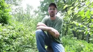 Pennsylvania High points (Ep 1) Lebanon county, Stony Mt. (1,651 feet)
