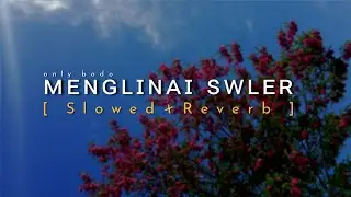 MENGLINAI SWLER || New Bodo Song Slowed X Reverb [ Edit by - @onlybodo121  ]