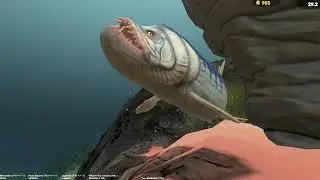 Green Moray Life (hard) - Great | Feed And Grow Fish