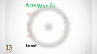 Different types of WBC type identify questions answers