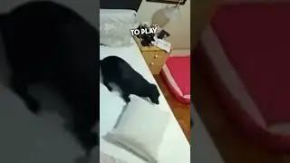 After His Wife Passed, His Kids Surprised Him With A Rescue Dog So He Wouldn&rsquo;t Be Alone ❤️