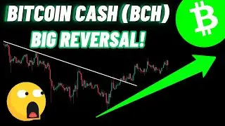 Big Reversal Of Bitcoin Cash | Is Another Massive Rally of BCH Coming? 🚀