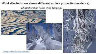 Snow Science: Snow Transport