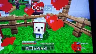 Latunba de lobito polar cuando murio en minecraft
