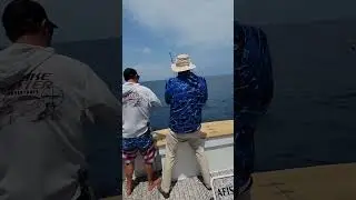 marlin fishing with Afishionado part 1