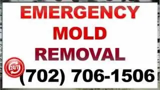 Mold Remediation North Las Vegas | 702-706-1506|89030|North Las Vegas  Mold Remediation|Nevada|NV