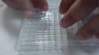 Corning 96 HTS with REMS-96C