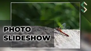 Vintage M42 lens - Carl-Zeiss Tessar 50mm f2.8 sample images