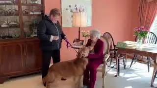 Daniel, Golden Retriever, wishes Betty a Happy Birthday