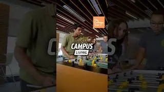 Campus Living | The College Tour