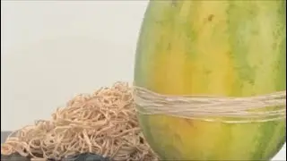 EXTREME WATERMELON EXPLOSION!!!!