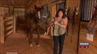 Patient Story: Randy is Back to Riding her Horse