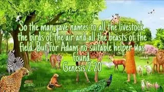 Genesis 2:20