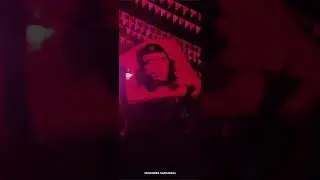 LDF ❤️❤️🚩 Full screen whatsapp status video